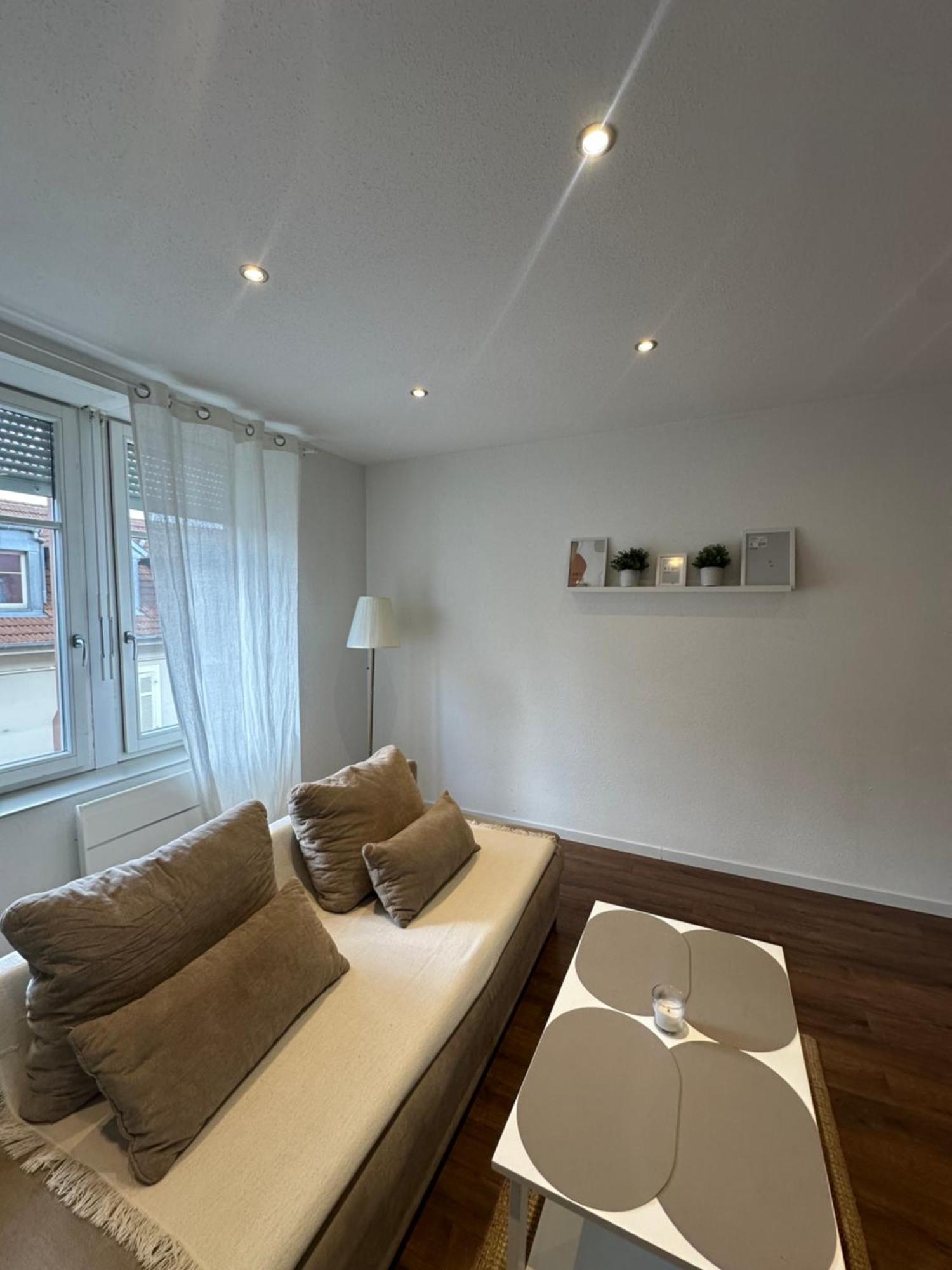 # Le 3 # Joli Appartement T3 Mulhouse Centre, Neuf, Calme Et Tout Equipe Экстерьер фото